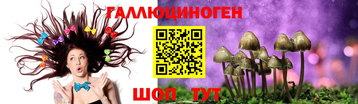 Галлюциногенные грибы прущие грибы Пугачёв